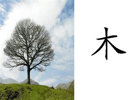 人+人+木是什麼字